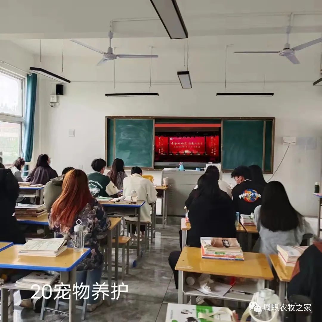 谈球吧体育app下载