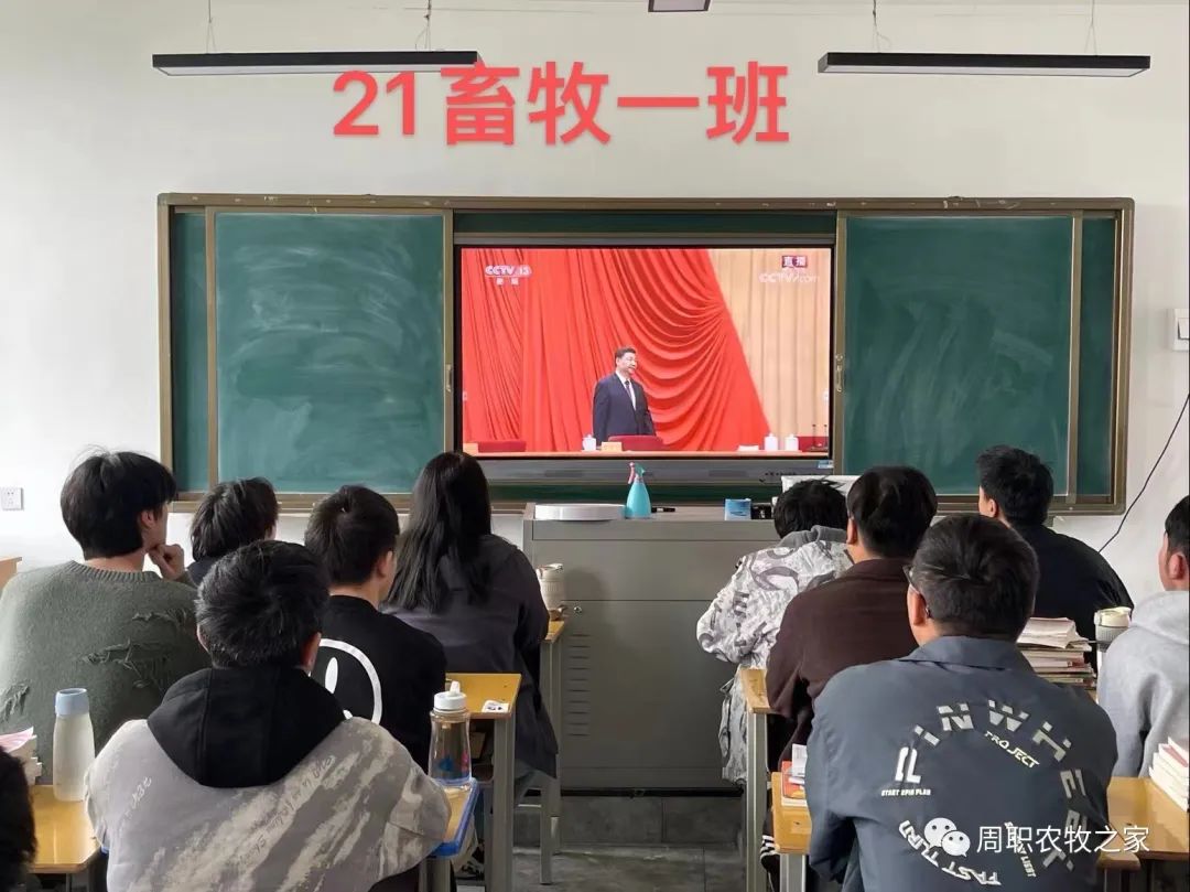 谈球吧体育app下载