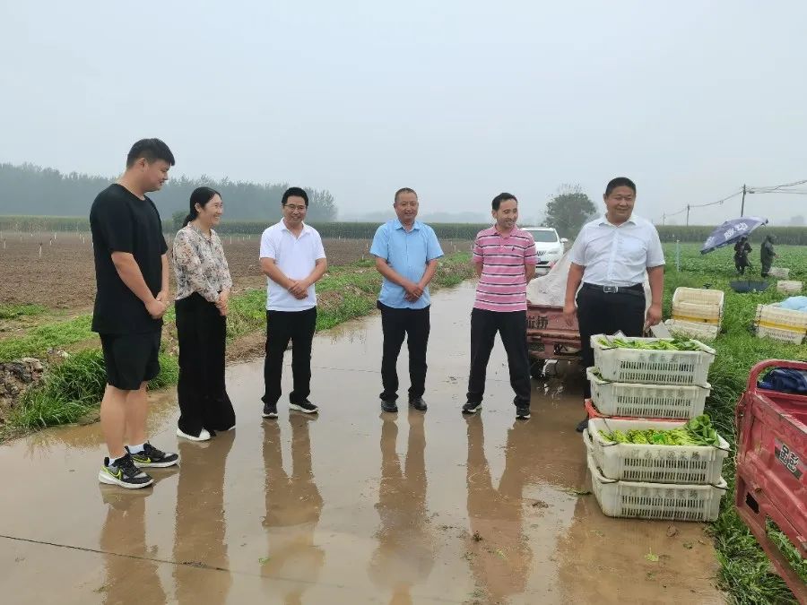 谈球吧体育app下载