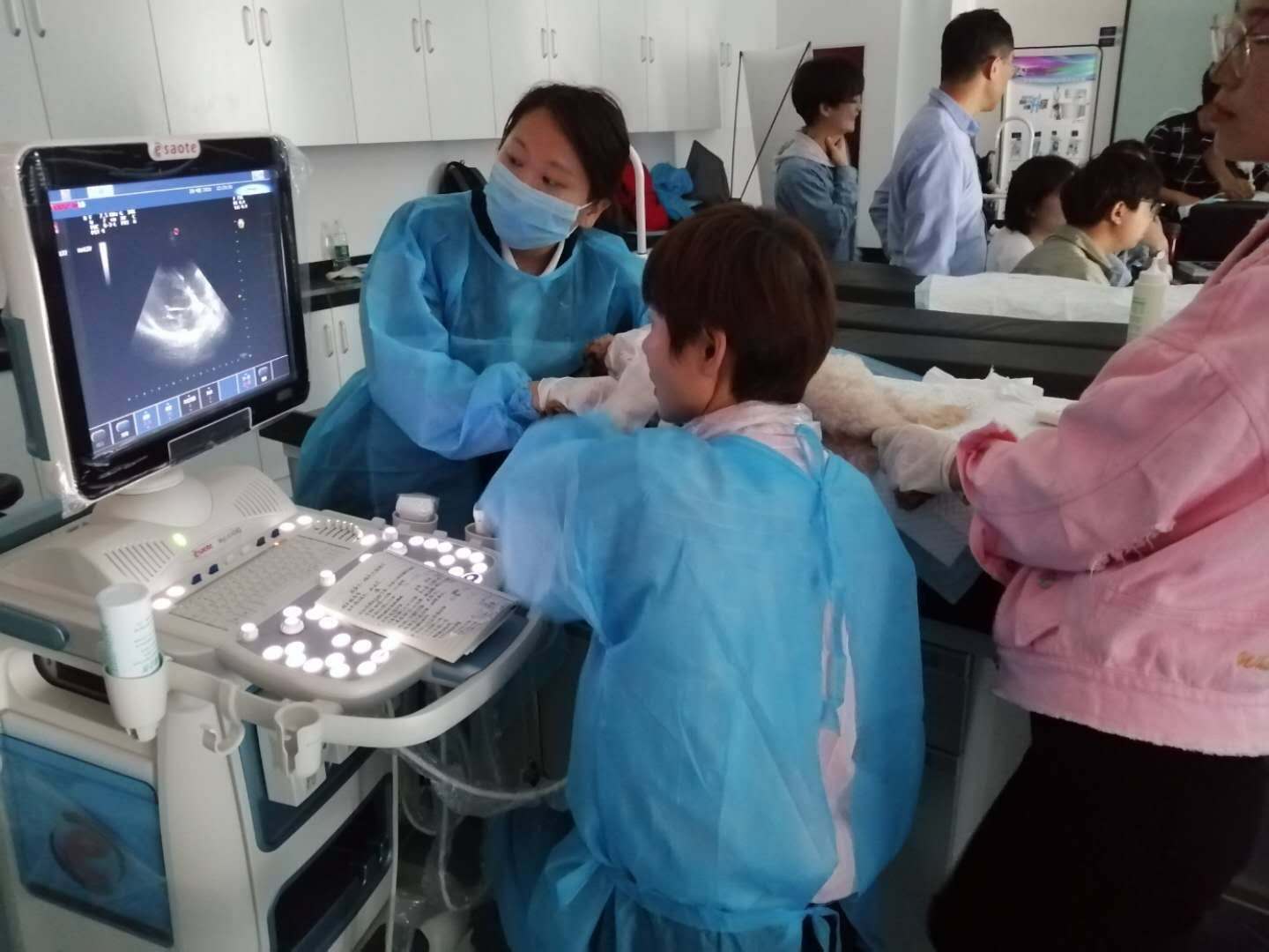 谈球吧体育app下载