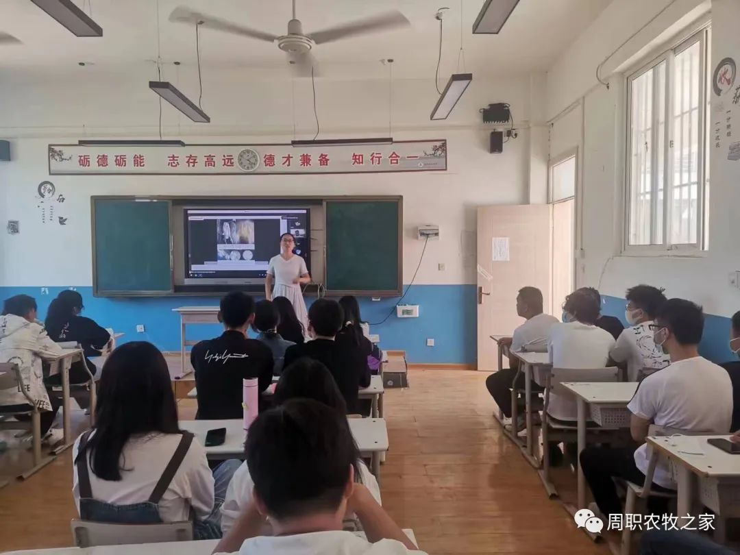 谈球吧体育app下载