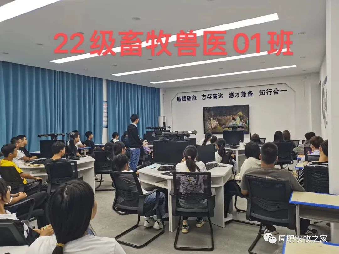 谈球吧体育app下载