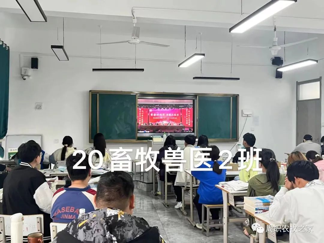 谈球吧体育app下载