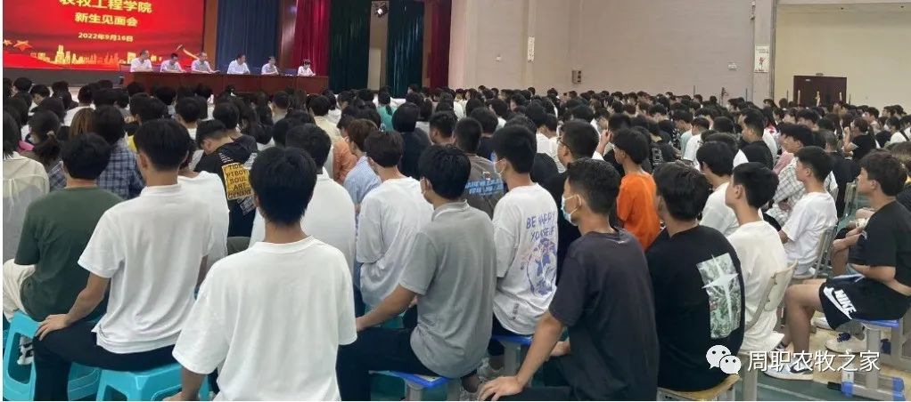 谈球吧体育app下载