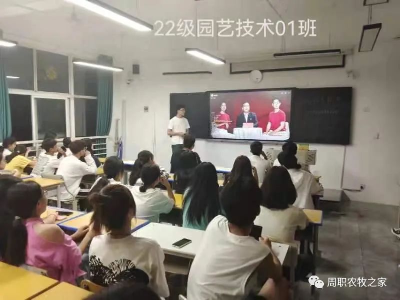 谈球吧体育app下载
