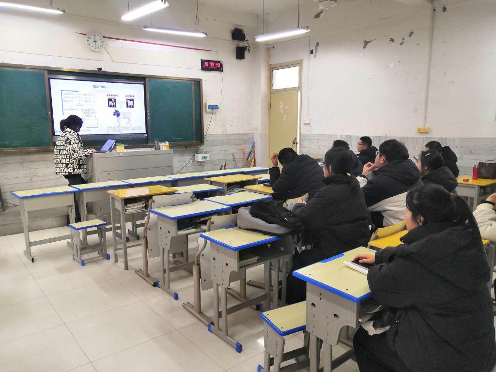 谈球吧体育app下载