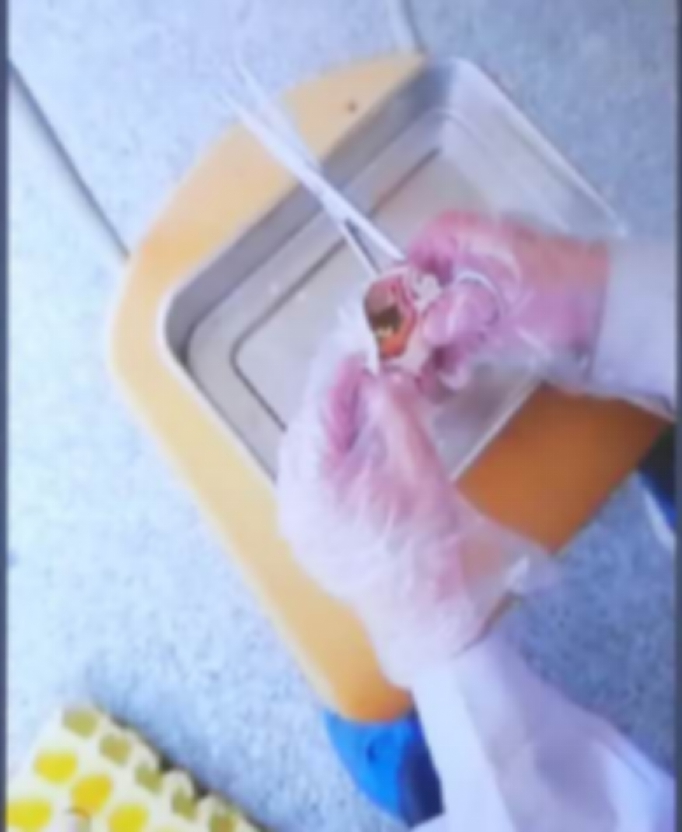 谈球吧体育app下载