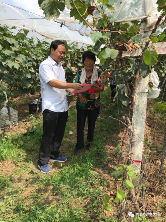 谈球吧体育app下载