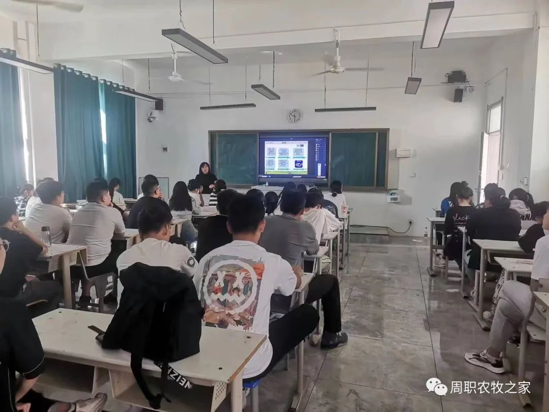 谈球吧体育app下载