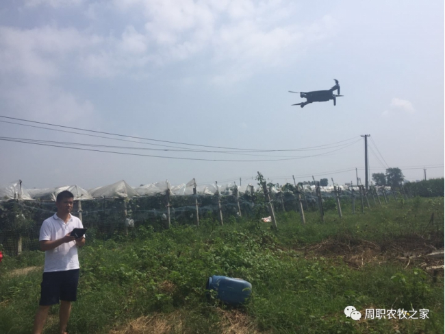 谈球吧体育app下载