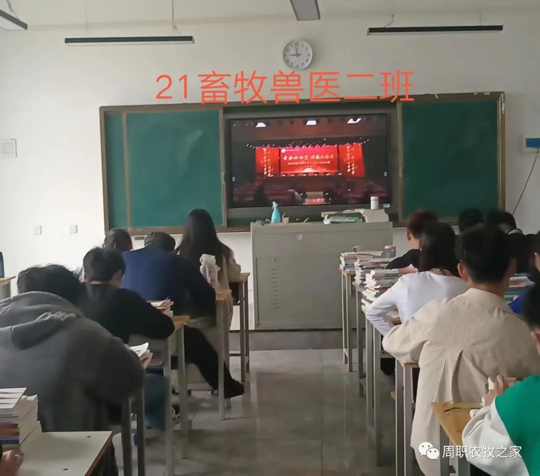 谈球吧体育app下载