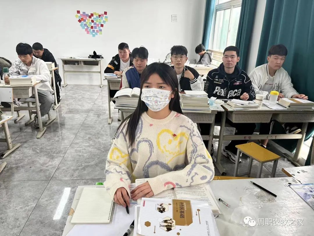 谈球吧体育app下载