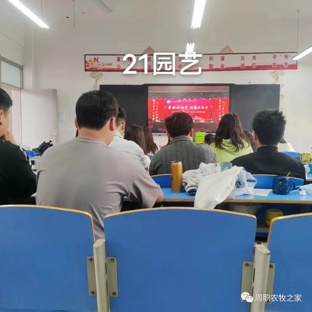 谈球吧体育app下载