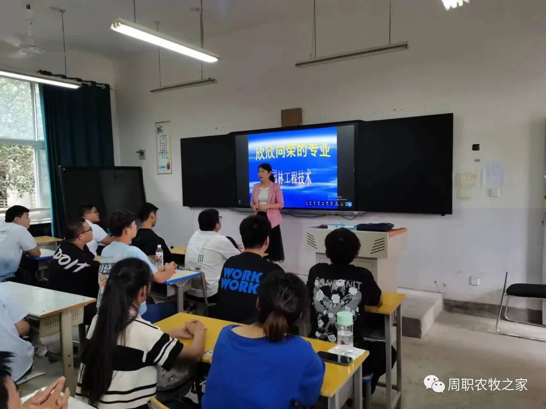谈球吧体育app下载