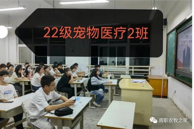 谈球吧体育app下载
