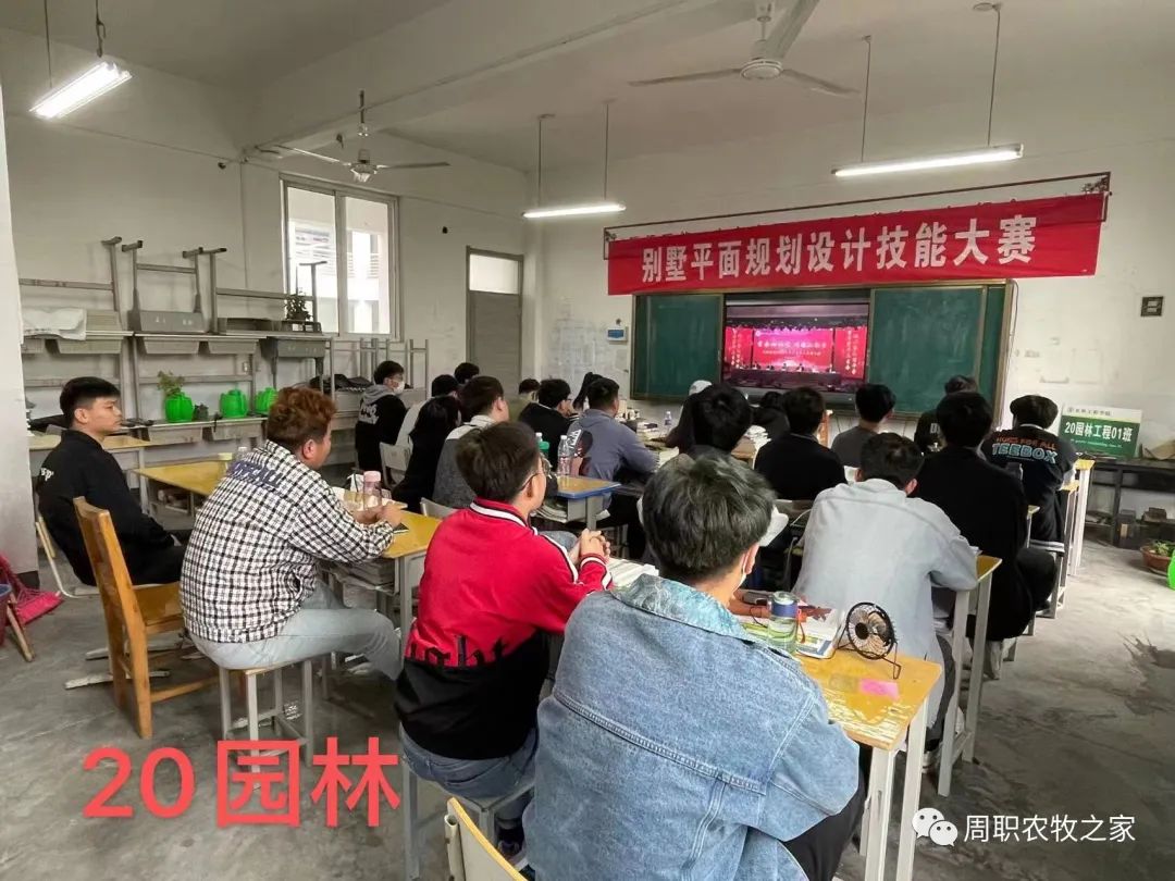 谈球吧体育app下载