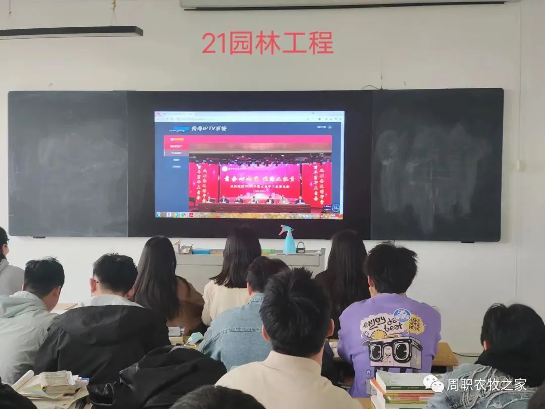 谈球吧体育app下载