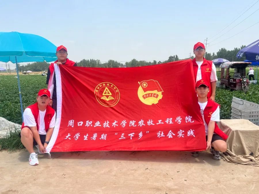 谈球吧体育app下载