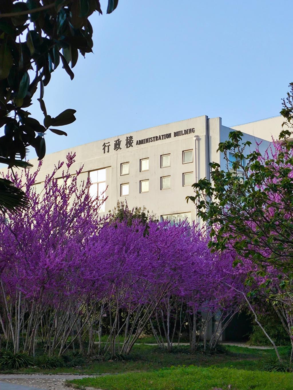 谈球吧体育app下载